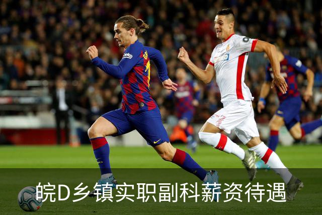 皖D乡镇实职副科薪资待遇