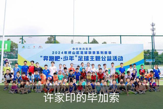 许家印的毕加索